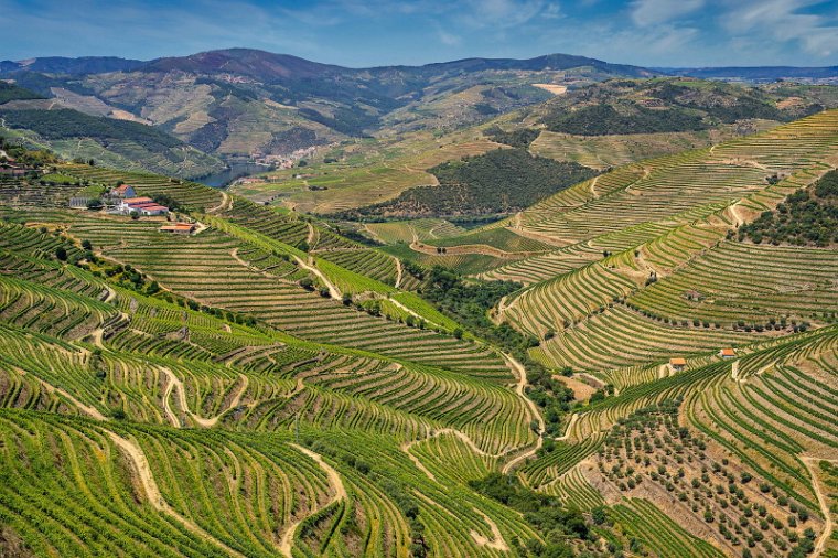064 Douro Vallei.jpg